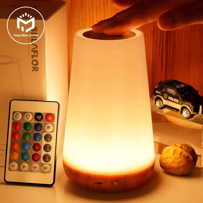 13 Color Changing Night Light Lamp