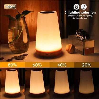 13 Color Changing Night Light Lamp